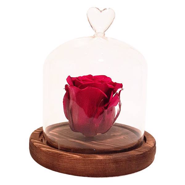 جعبه گل ماندگار گیتی باکس مدل رز جاودان قرمز تیره مینا، Gitibox Mina Dark Red Preserved Rose Flower Box