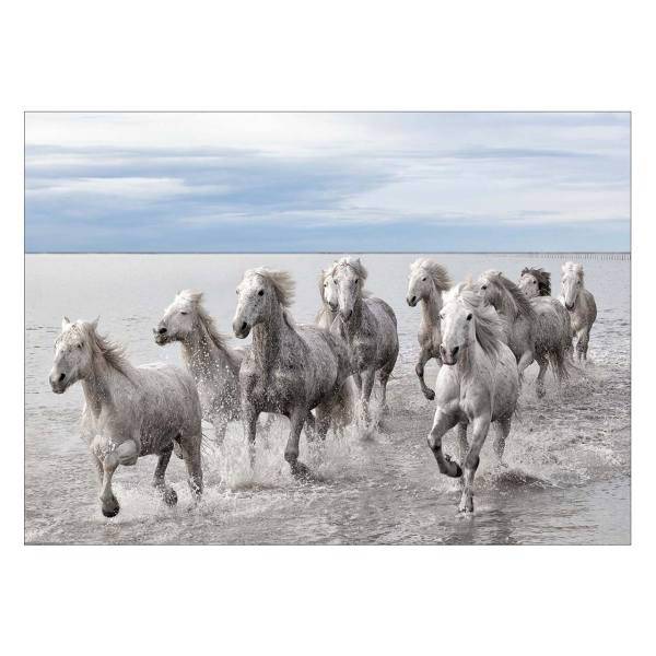 تابلو شاسی ونسونی طرح Horses At The Sea سایز 50x70 سانتی متر، Wensoni Horses At The Sea Chassis Size 50 x 70 Cm