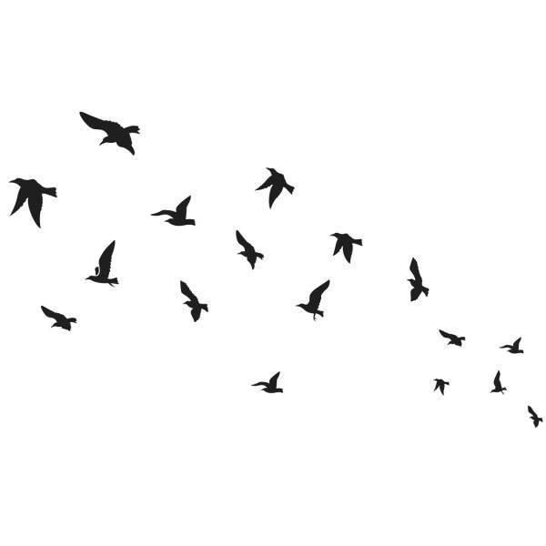 استیکر سالسو طرح Birds in sky، Salso Birds in sky Sticker