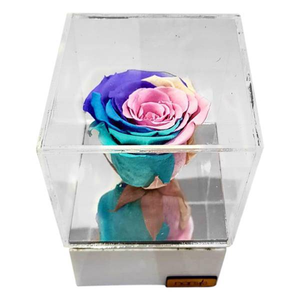 گل رز جاودان گالری نارسیس کد N105