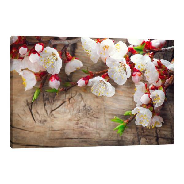 تابلو شاسی بوم آیریس کد Iris0036 طرح گل