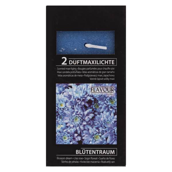 وارمر گالا مدل Blutentraum بسته 2 عددی، Gala Blutentraum Warmer Pack of 2