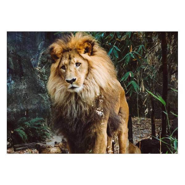 تابلو شاسی ونسونی طرح Depressed Lion سایز 30 × 40 سانتی متر، Wensoni Depressed Lion Chassis 40 x 30