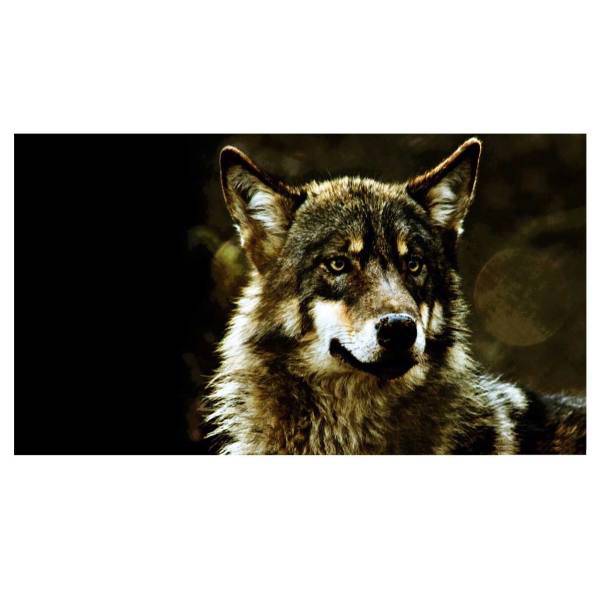 تابلو شاسی نقره ترمه مدل A17