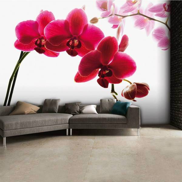 کاغذ دیواری 1وال مدل Orchid-001، 1Wall Orchid-001 Wallpaper