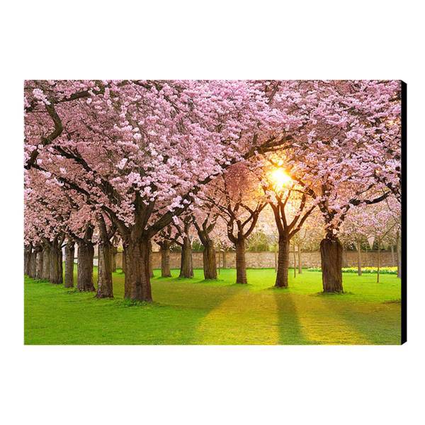 تابلو شاسی آفتاب مدل N155