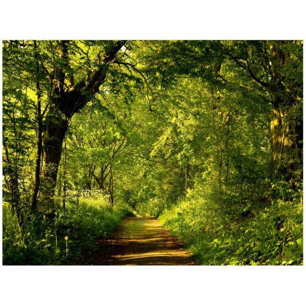 تابلو شاسی مِسترچاپ کد 1023