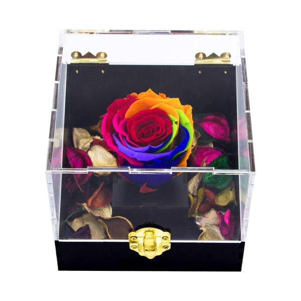 جعبه گل رز جاودان مدل رنگین کمان، Rainbow Preserved Rose Flower Box