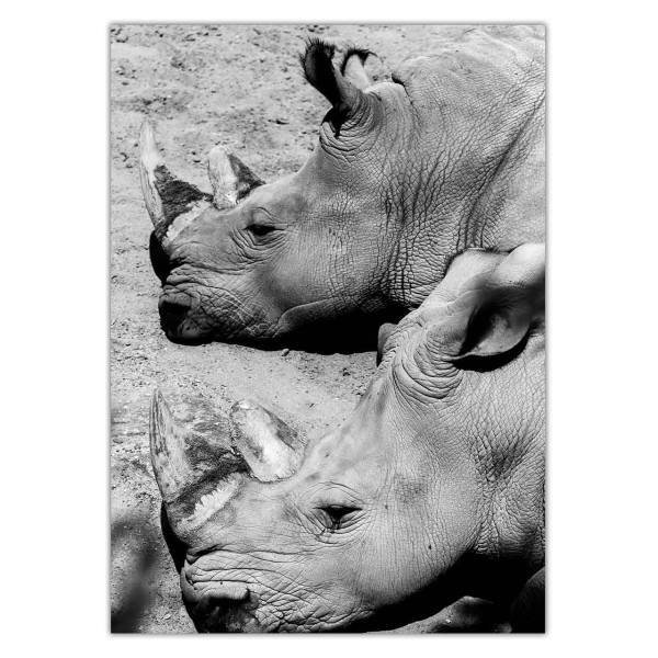 تابلو شاسی ونسونی طرح Rhinoceros Ending Up سایز 50x70 سانتی متر، Wensoni Rhinoceros Ending Up Chassis Size 50 x 70 Cm