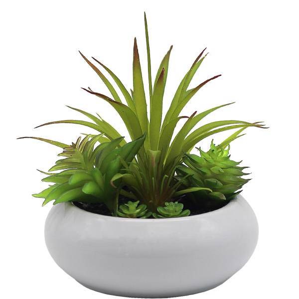 گلدان گل آکو مدل کاکتوس F3806، Ako Cactus F3806 Flower Vase