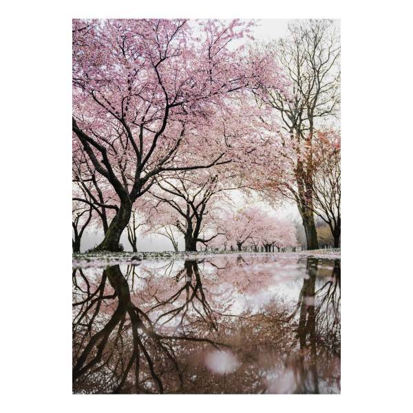 تابلو گالری مارکت لند کد M111