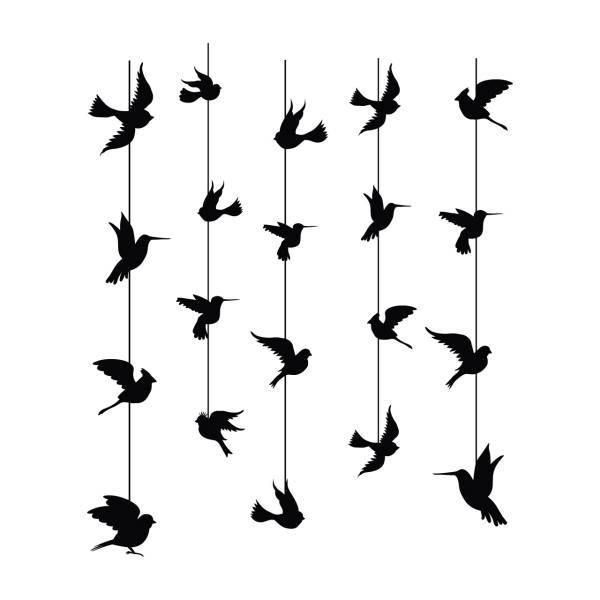 استیکر سالسو طرح black birdy، Salso black birdy Sticker