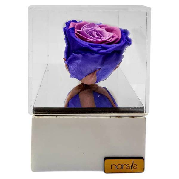 گل رز جاودان گالری نارسیس کد N104