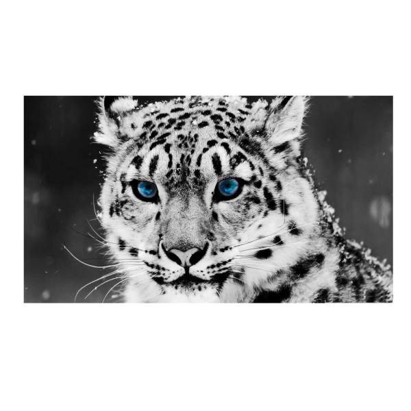 تابلو شاسی نقره ترمه مدل A20