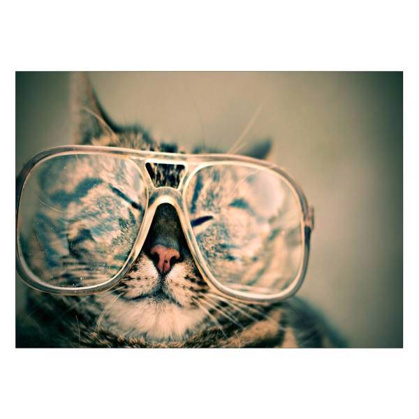 تابلو شاسی ونسونی طرح Cat Wear Glasses سایز 50 × 70 سانتی متر، Wensoni Cat Wear Glasses Chassis Size 50 x 70 Cm