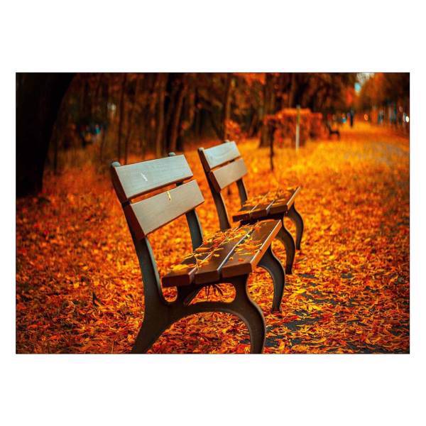 تابلو شاسی ونسونی طرح Lonely Bench in Autumn سایز 50x70 سانتی متر، Wensoni Lonely Bench in Autumn Chassis Size 50 x 70 Cm