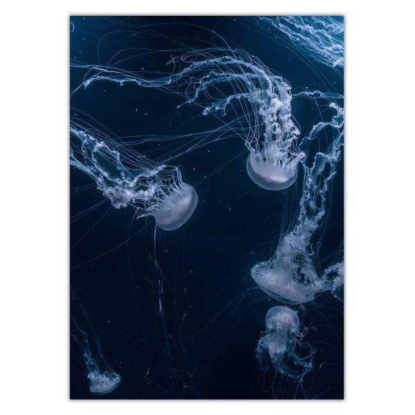 تابلو شاسی ونسونی طرح Dancing Jellyfishes سایز 50 × 70 سانتی متر، Wensoni Dancing Jellyfishes Chassis Size 50 x 70 Cm