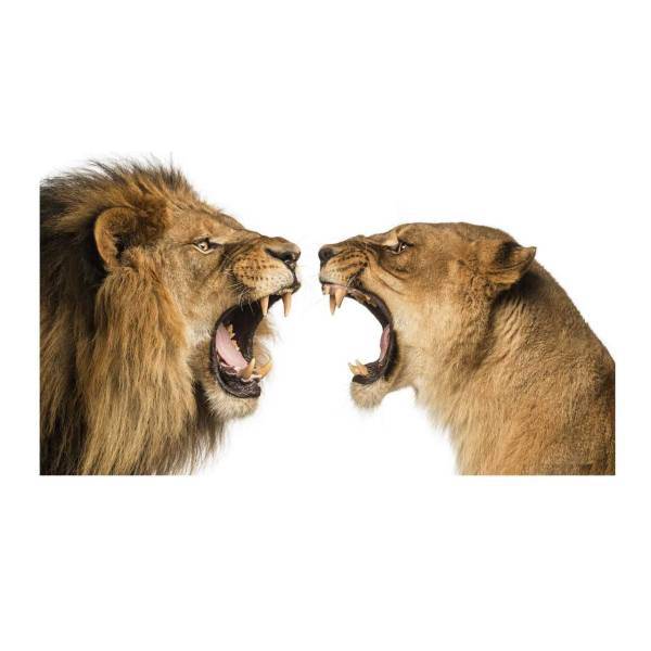 تابلو شاسی نقره ترمه مدل A25