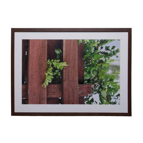 تابلو عکس گالری مگی طرح پرچین 50 × 70 سانتیمتر کد M104، Magi Gallery Hedge M104 Tableau