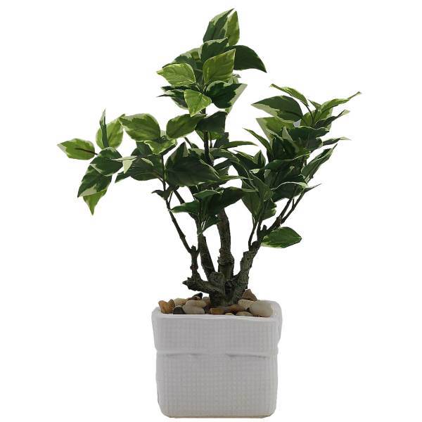 گلدان گل آکو مدل بونسای F9871، Ako Bonsai F9871 Flower Vase