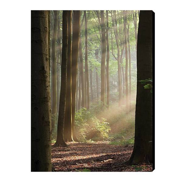 تابلو شاسی بارمان مدل N273، Barman N273 Chassis