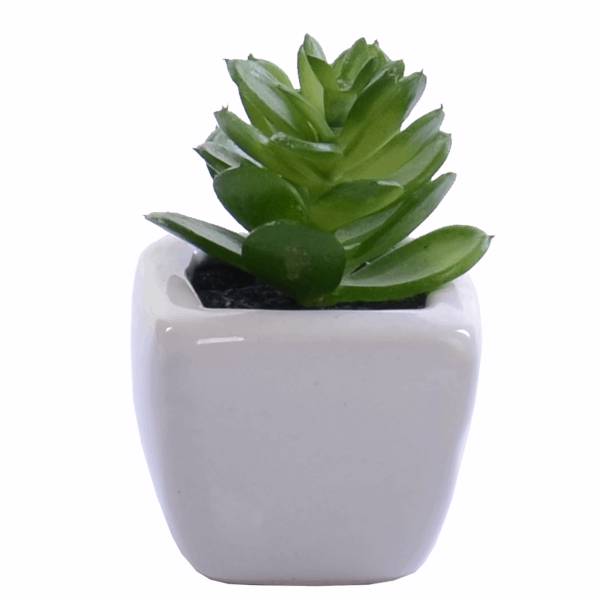 گلدان به همراه گل مصنوعی رایدین مدل کاکتوسR14، Raydin Cactus R14 Flower Vase