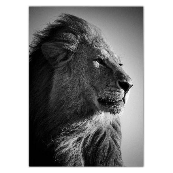 تابلو شاسی ونسونی طرح Looking Away سایز 50 × 70، Wensoni Looking Away Chassis Size 70 x 50
