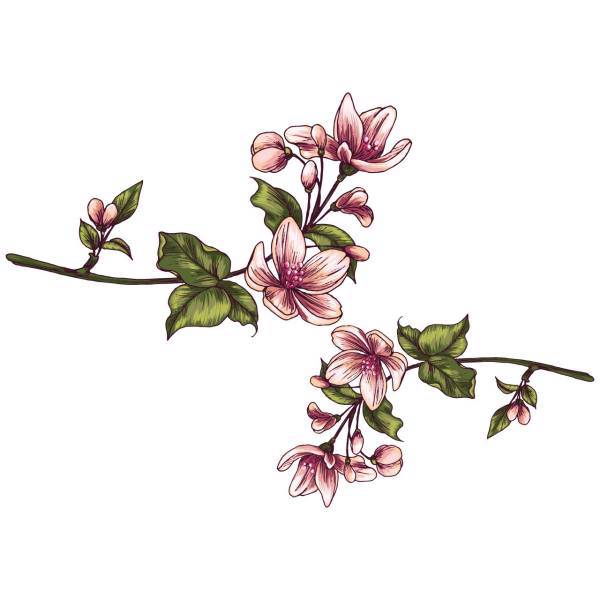 استیکر سالسو طرح lily، Salso lily Sticker