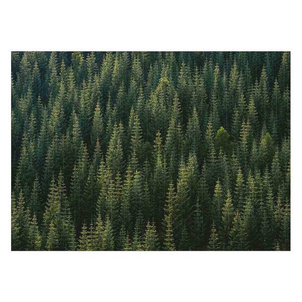 تابلو شاسی ونسونی طرح Pines Squared سایز 50x70 سانتی متر، Wensoni Pines Squared Chassis Size 50 x 70 Cm