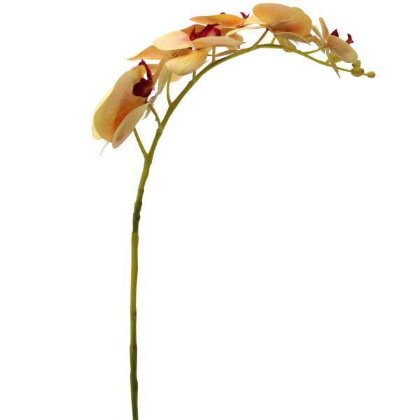 گل مصنوعی آکو طرح ارکیده مدل F70112، Ako F70112 Orchid Artificial Flower