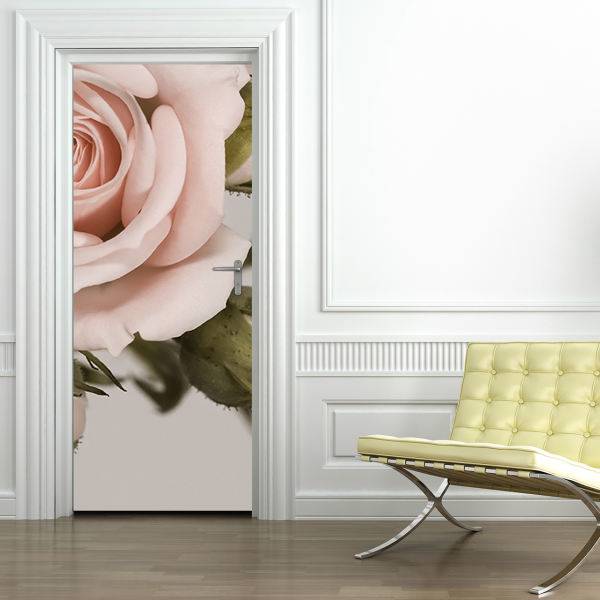 استیکر در بومرنگ کد DM-N23، Boomrang DM-N23 Door Mural