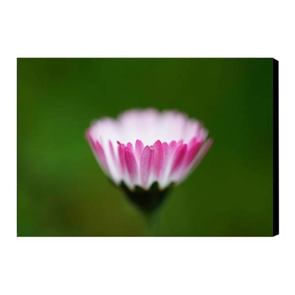 تابلو شاسی آفتاب کد Bar89