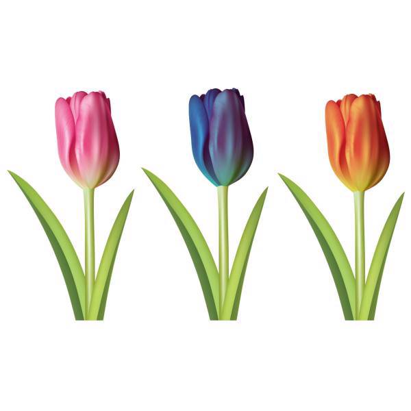 استیکر دیواری سه بعدی ژیوار طرح گل های لاله، Zhivar Tulip Flowers 3D Wall Sticker