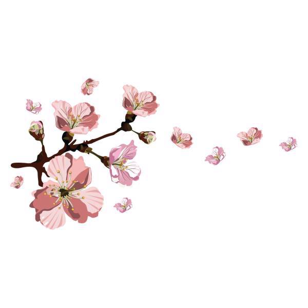 استیکر سالسو طرح شکوفه‌های گیلاس، Salso Cherry Blossom Sticker