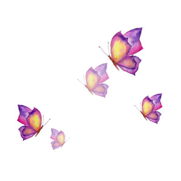 استیکر سالسو طرح Butterfly in mirror، Salso Butterfly in mirror Sticker