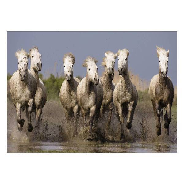 تابلو شاسی ونسونی طرح Running Horses سایز 50x70 سانتی متر، Wensoni Running Horses Chassis Size 50 x 70 Cm