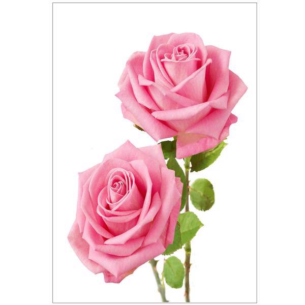 تابلو شاسی نوآوران کد SH3، Noavaran SH3 Tableau