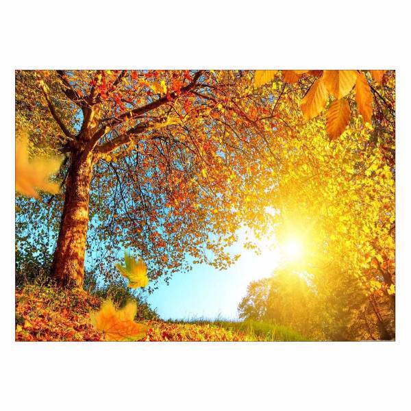 تابلو شاسی ونسونی طرح Fall Trees سایز 70 × 50 سانتی متر، Wensoni Fall Trees Chassis Size 50 x 70 Cm