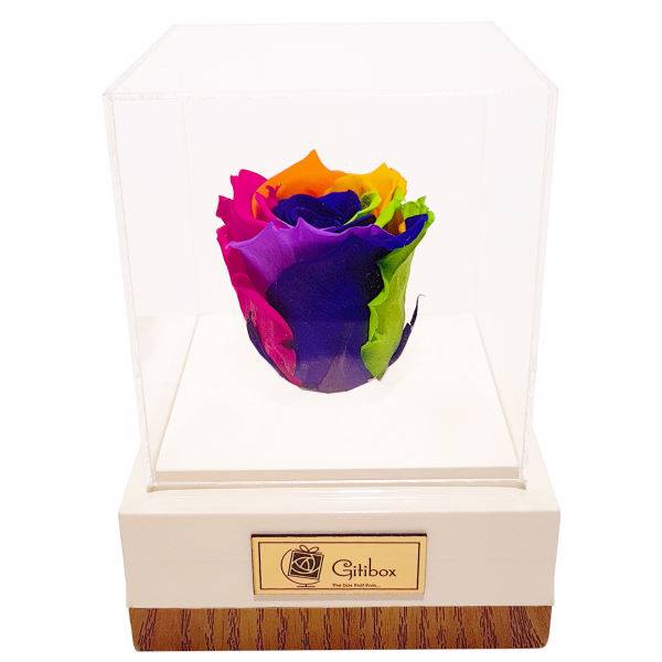 جعبه گل ماندگار گیتی باکس مدل رز جاودان 7 رنگ افرا، Gitibox Afra 7 Color Preserved Rose Flower Box