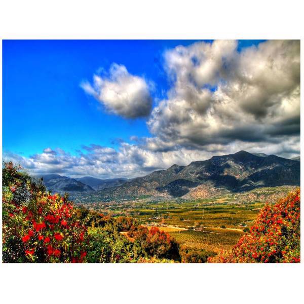 تابلو شاسی مِسترچاپ کد 1021