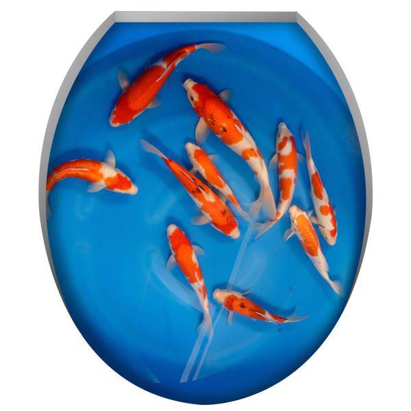 استیکر سه بعدی ژیوار طرح ماهی قرمز، Zhivar Red Fish 3D Sticker