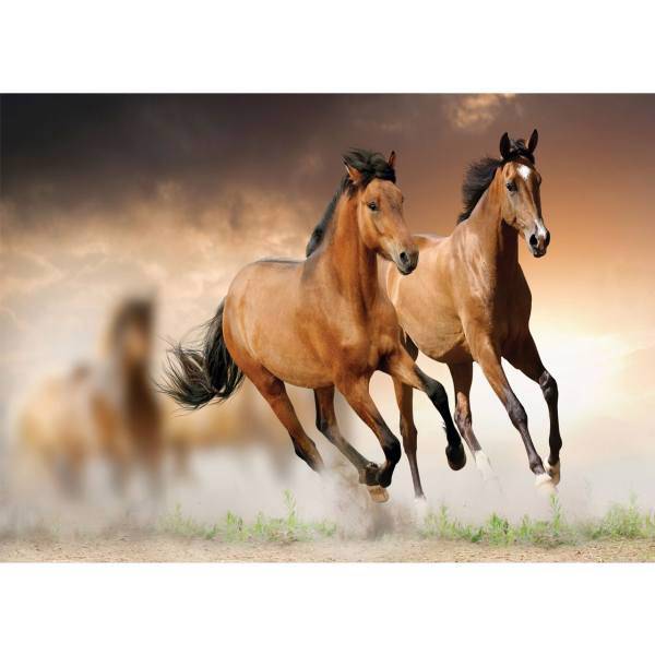 تابلو شاسی آکو طرح Horse سایز 20x28 سانتی متر، Ako Horse Chassis Size 20 x 28