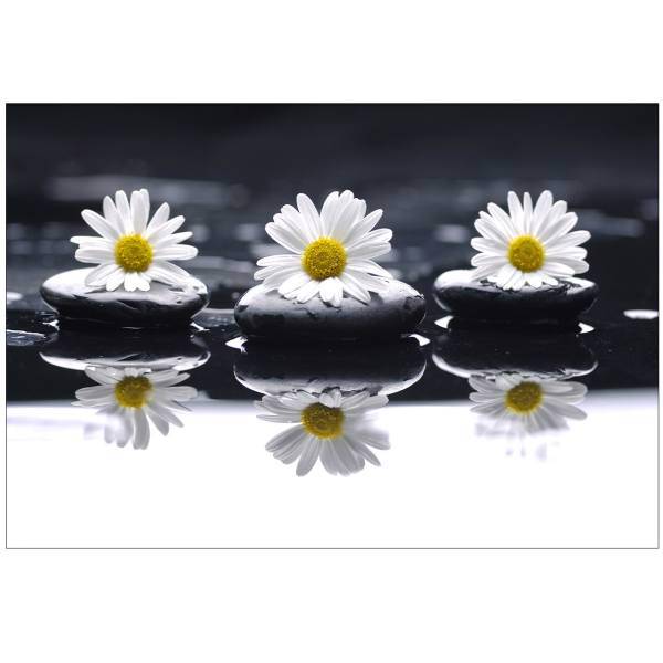 تابلو شاسی نوآوران کد SH9، Noavaran SH9 Tableau