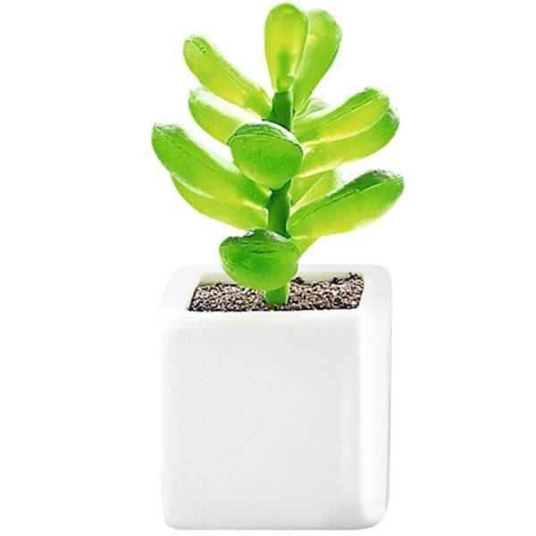 کاکتوس کوچک تزیینی آزا ساکولنت کد 8، Asa Decorative Mini Sakkulente Cactus 8