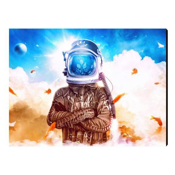 تابلو شاسی الینور مدل Elt429 سایز 40x30 سانتی متر، Elinor Elt429 Chassis Size 30 x 40 Cm