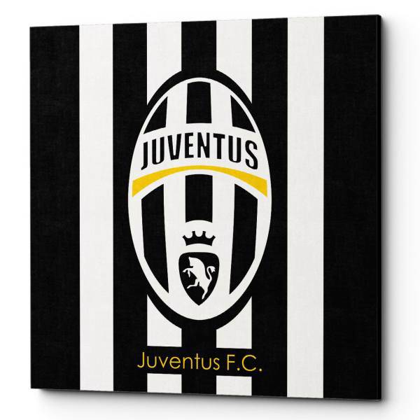 تابلو شاسی لومانا مدل Juventus CA011 سایز 20×20، Lomana Juventus CA011 Chassis 20x20