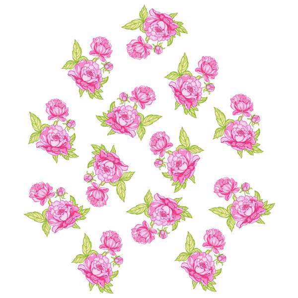 استیکر سالسو طرح Pinkrose، Salso Pinkrose Sticker