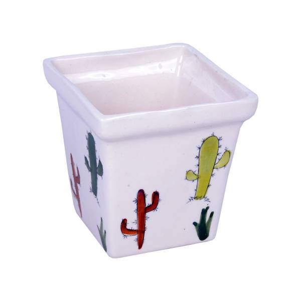 گلدان سرامیکی ژینورا طرح C3 مدل کاکتوس سایز بزرگ، Gynura C3 Cactus Ceramic Flower Pot Size Large