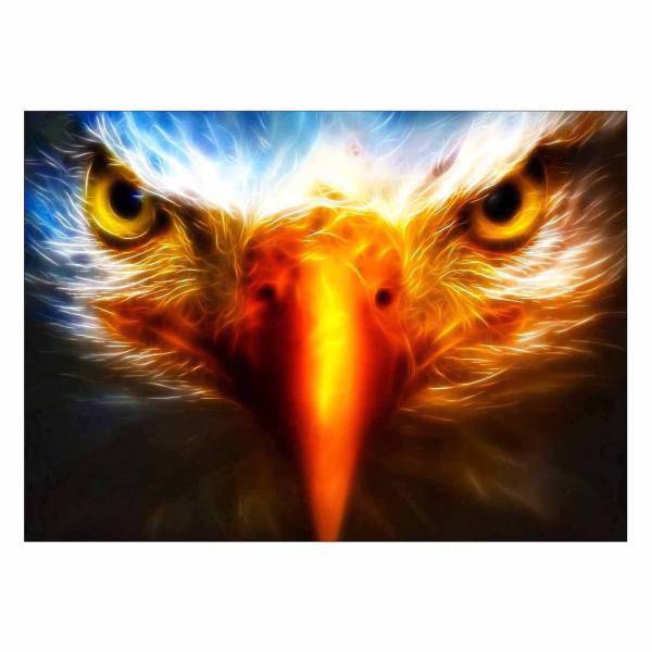 تابلو شاسی ونسونی طرح Eagle Art سایز 50 × 70 سانتی متر، Wensoni Eagle Art Chassis Size 50 x 70 Cm