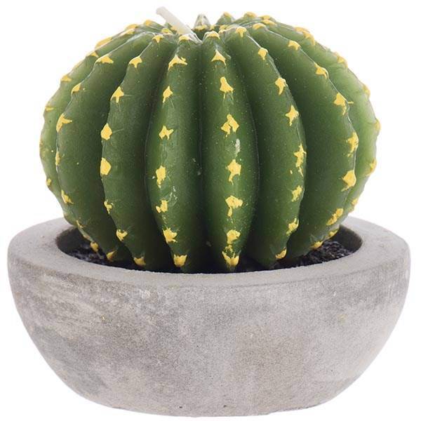 شمع هارمونی مدل کاکتوس N10238، Harmony Cactus N10238 Candle